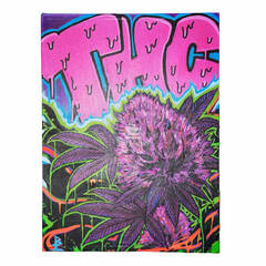 Quadro THC